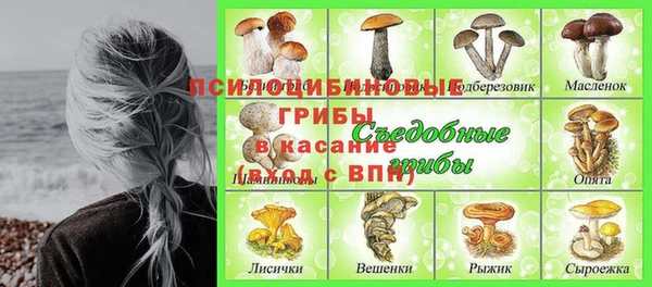 PSILOCYBIN Мегион