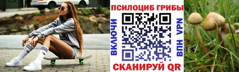 купить наркотик Миньяр hydra ONION Галлюциногенные грибы Psilocybine cubensis